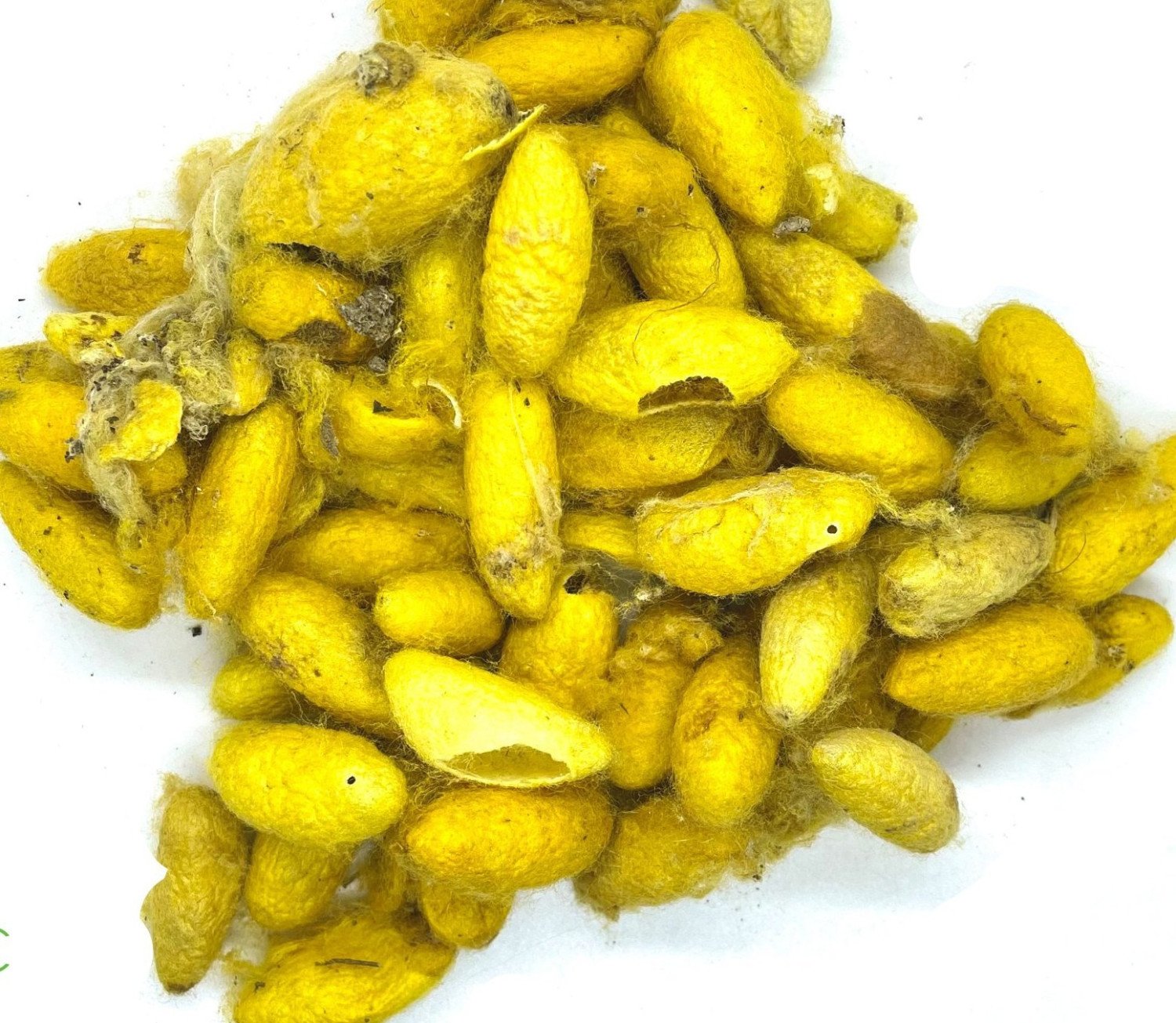 Abresham (आबरेशम)