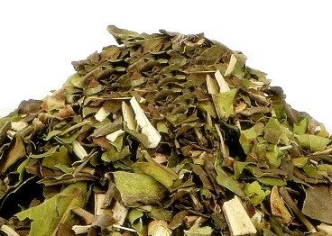 Adusa (Bansa) (अड़ूूसा/बांसा)